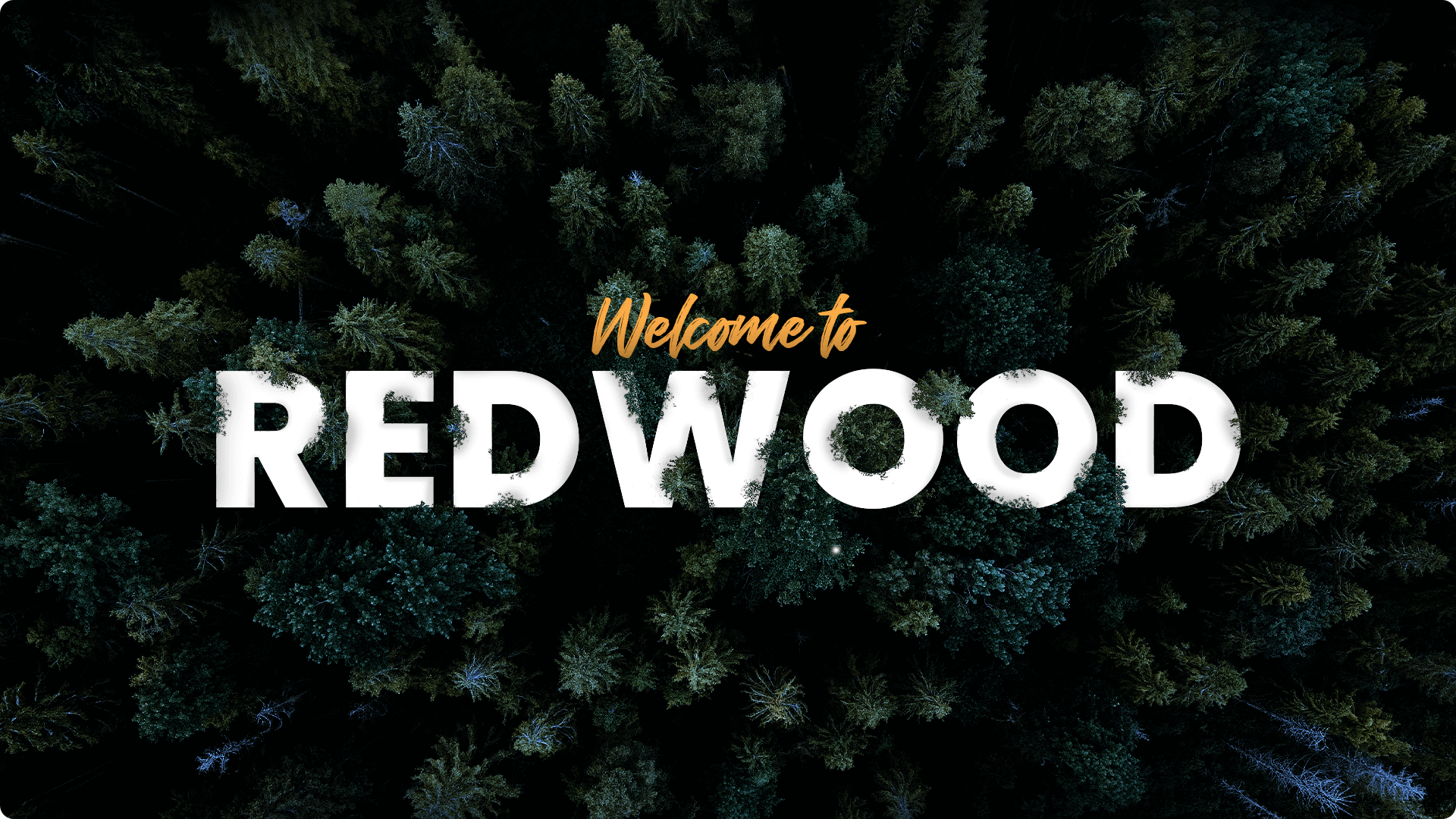 Redwood Values